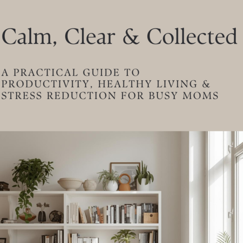 Overwhelmed Mom Stress Relief Guide | Productivity without Burnout | Calm & Clear Life | Digital eBook